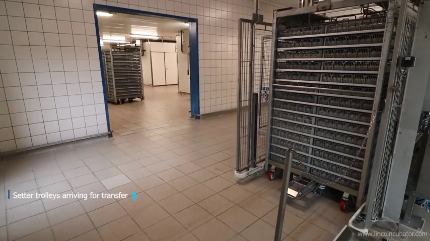 Automation-LINCO-at-Danhatch